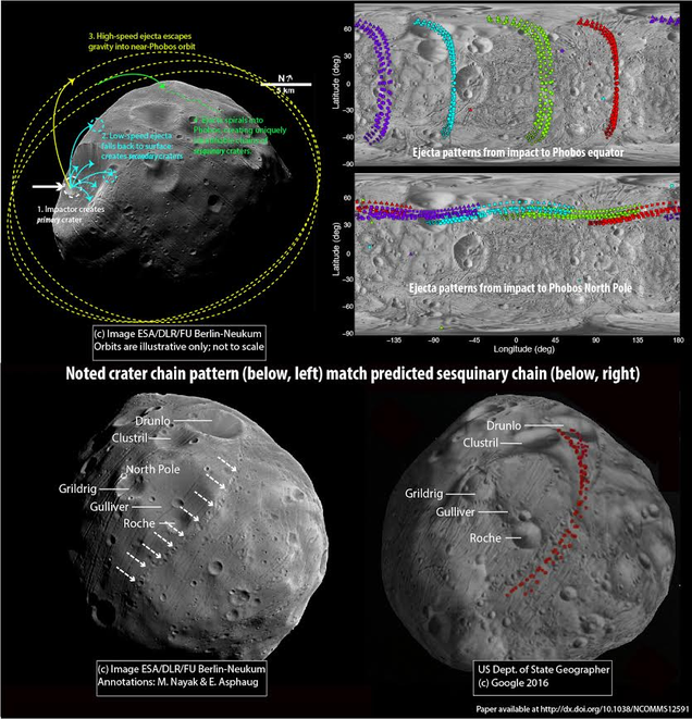 Mysterious crater chains criss-cross the surface on Mars’ moon Phobos. In this illustration, Nayak shows how ejected material can re-impact the surface of Phobos (top left) and produce distinct linear chains (top right). One prominent crater chain that was inexplicable with tidal models (bottom left) can be explained via these repeated impacts (bottom right). Image: M. Nayak